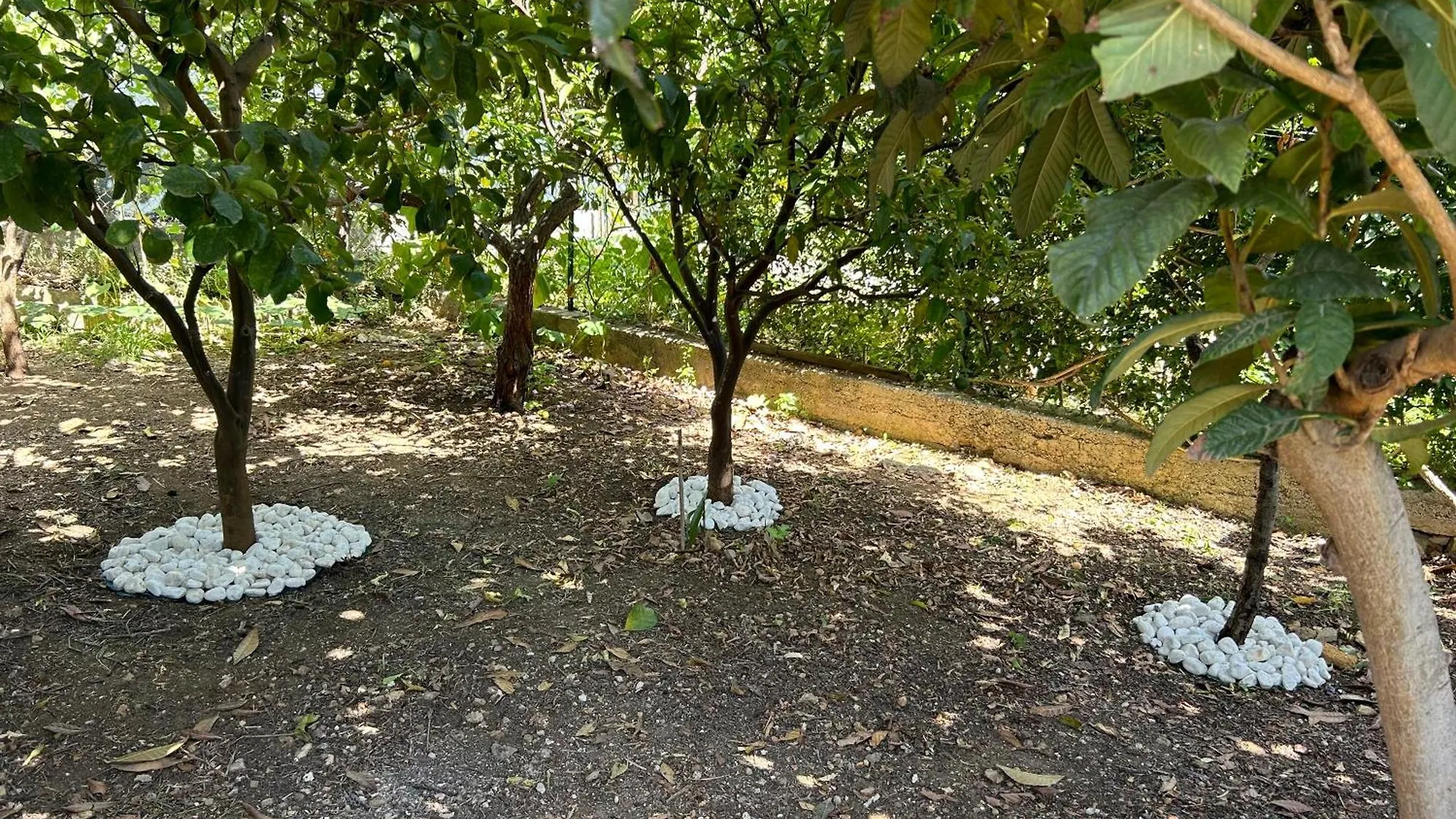 Holiday home Aromi Di Sicilia Casa Vacanze Palermo